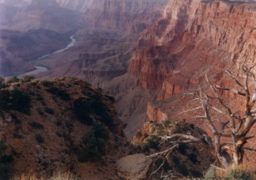 grand canyon